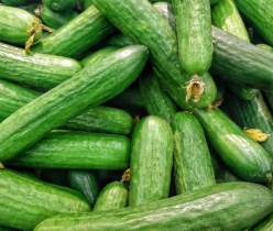 Hoe gezond is een komkommer?